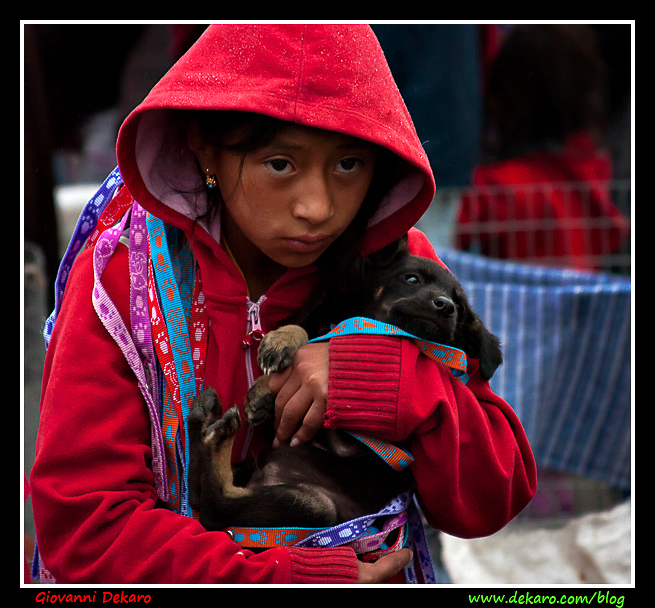 Little girl selling a dog in the animal market, Otavalo, Ecuador