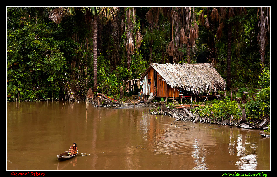 Hut in the Amazon river, Brazil