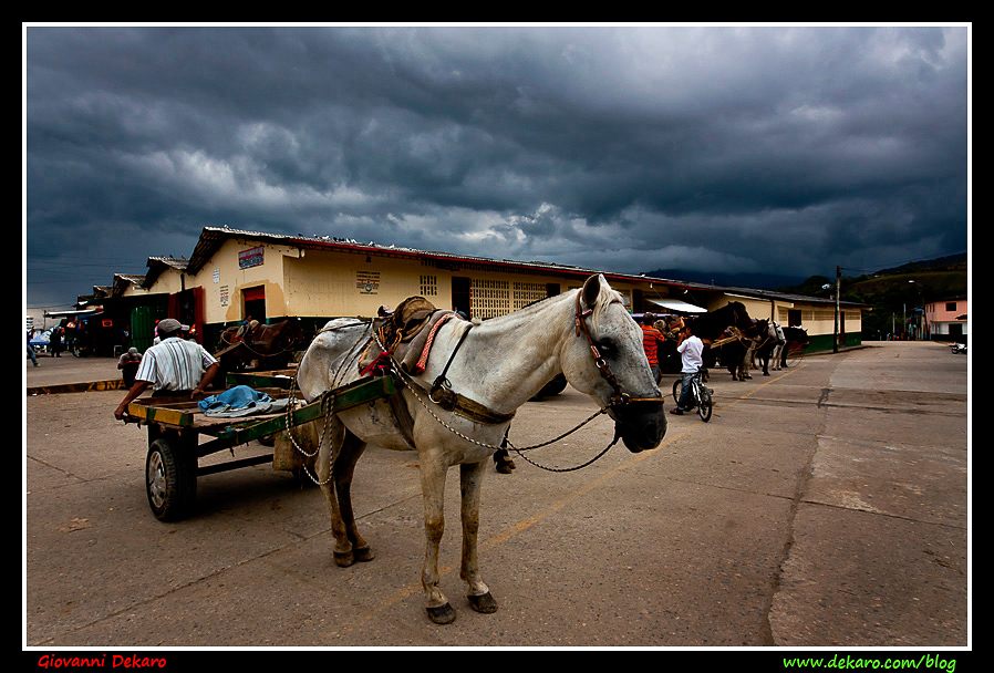 Horse, San Augustin, Colombia