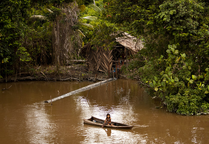 Amazzonia, Brasile