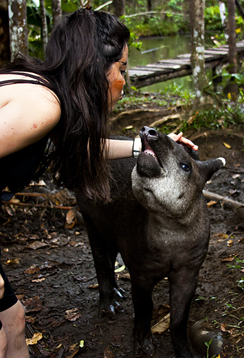 Sandra con tapiro