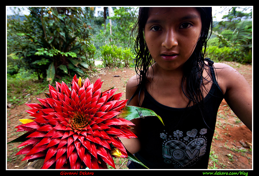 Girl with flower, Amazon, Ecuador
