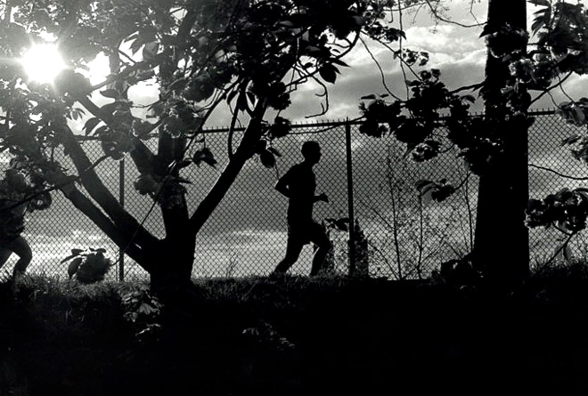 Central Park, New York, 1995